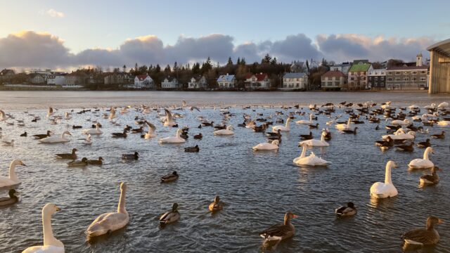 レイキャビク市内で撮った写真