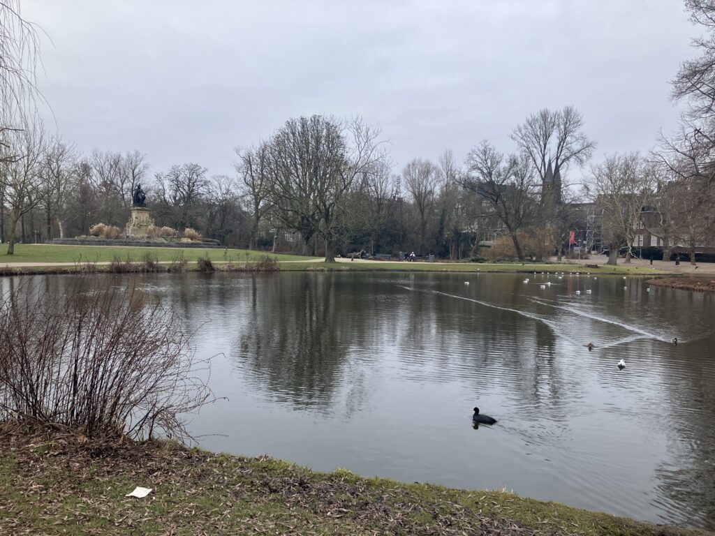 フォンデル公園の池を泳ぐ鳥たち