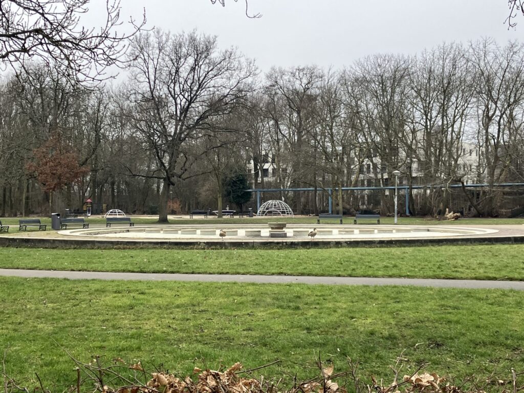 フォンデル公園で見かけたガン