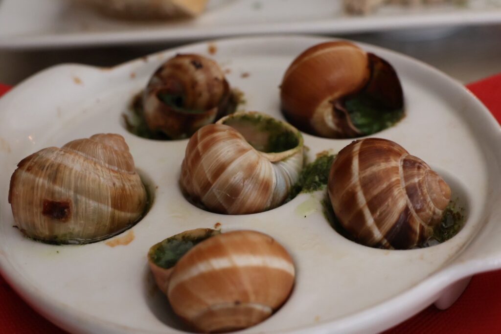 ChezMoiエスカルゴ