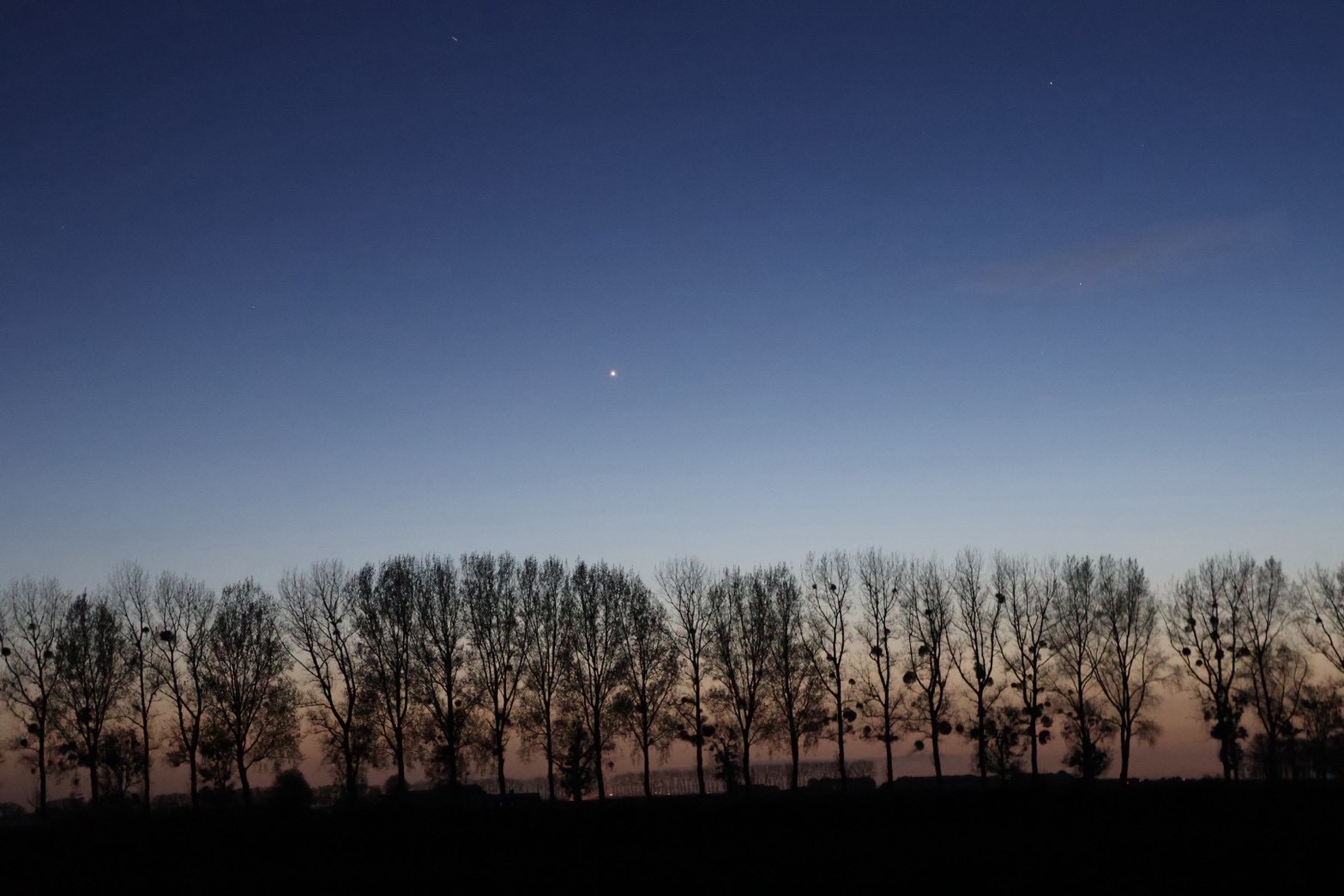 モンサンミッシェル周辺、夕暮れの並木のシルエットと薄明の空に光る星