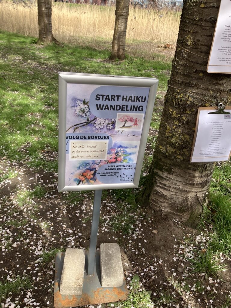 桜の木に俳句の札が下がる散歩コース（HAIKU WANDELING・アルメレ）
