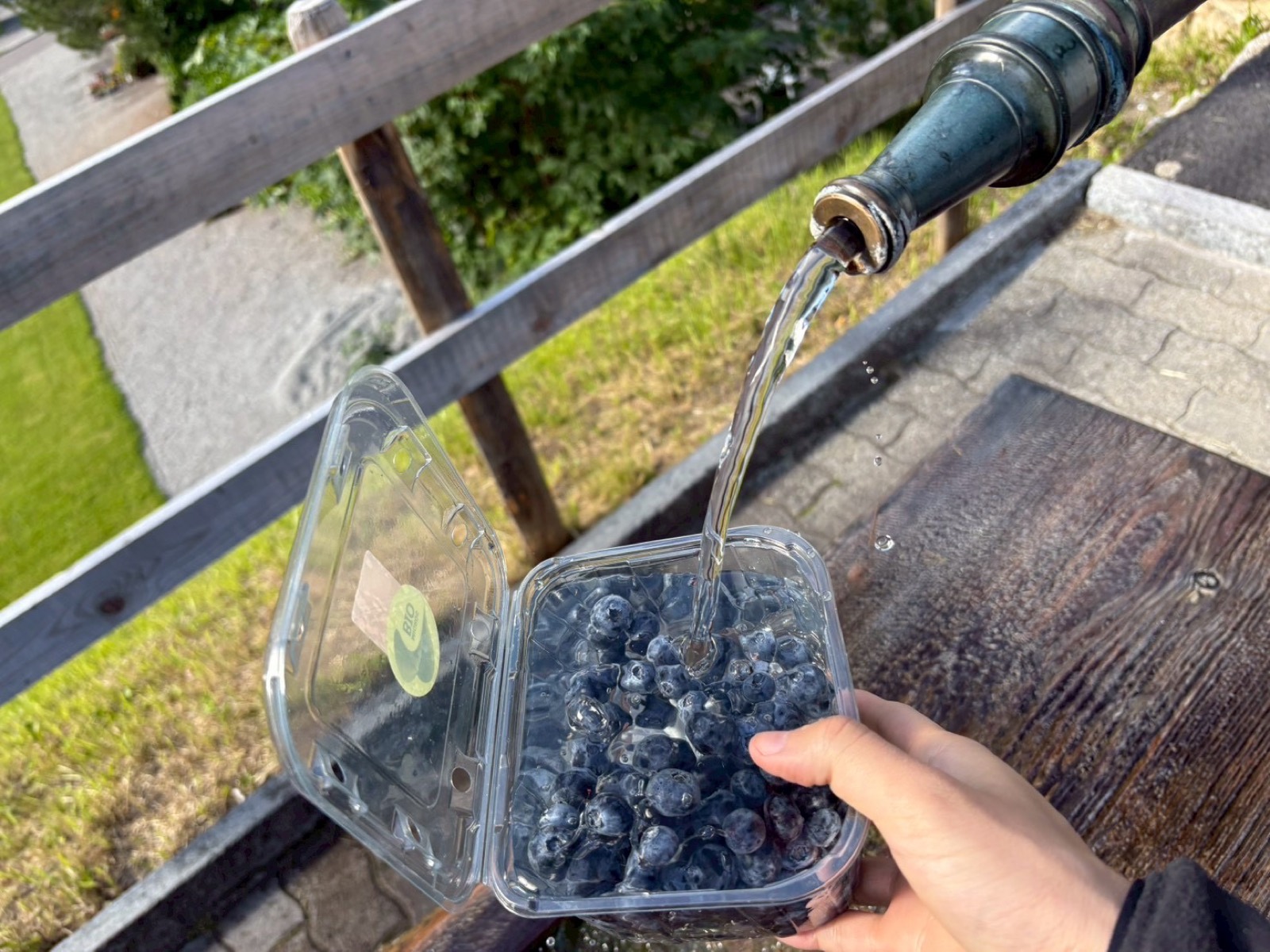 買ったブルーベリーを、街角の水飲み場の水でパックごと洗っているところ