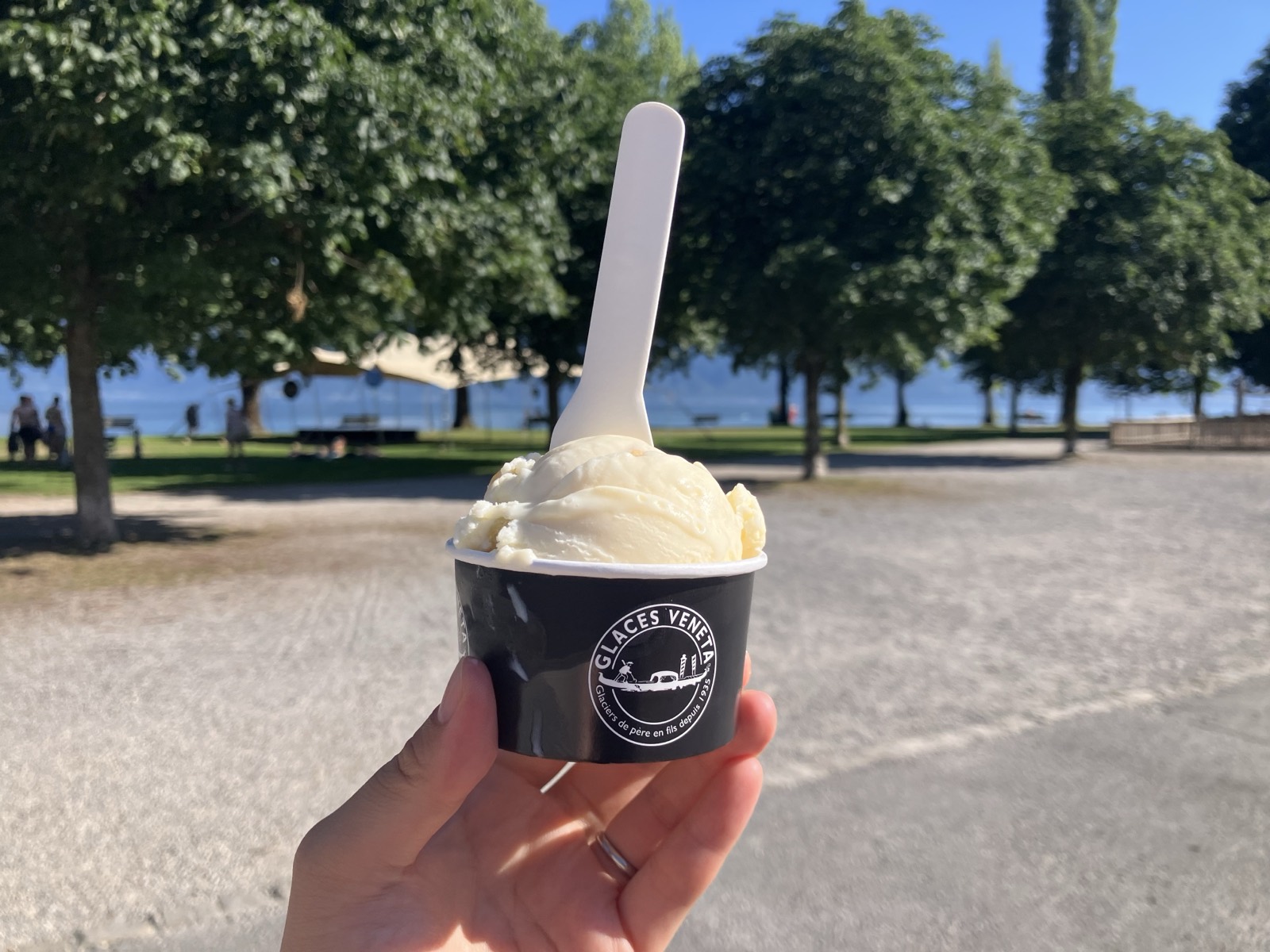 キュリー湖畔の公園で食べたGlaces Venetaのアイス。ワインレーズン味