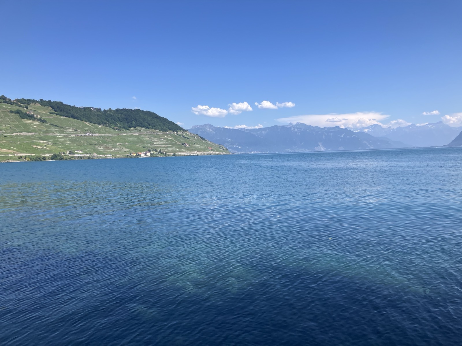 キュリー湖畔から見たレマン湖。対岸に山並み