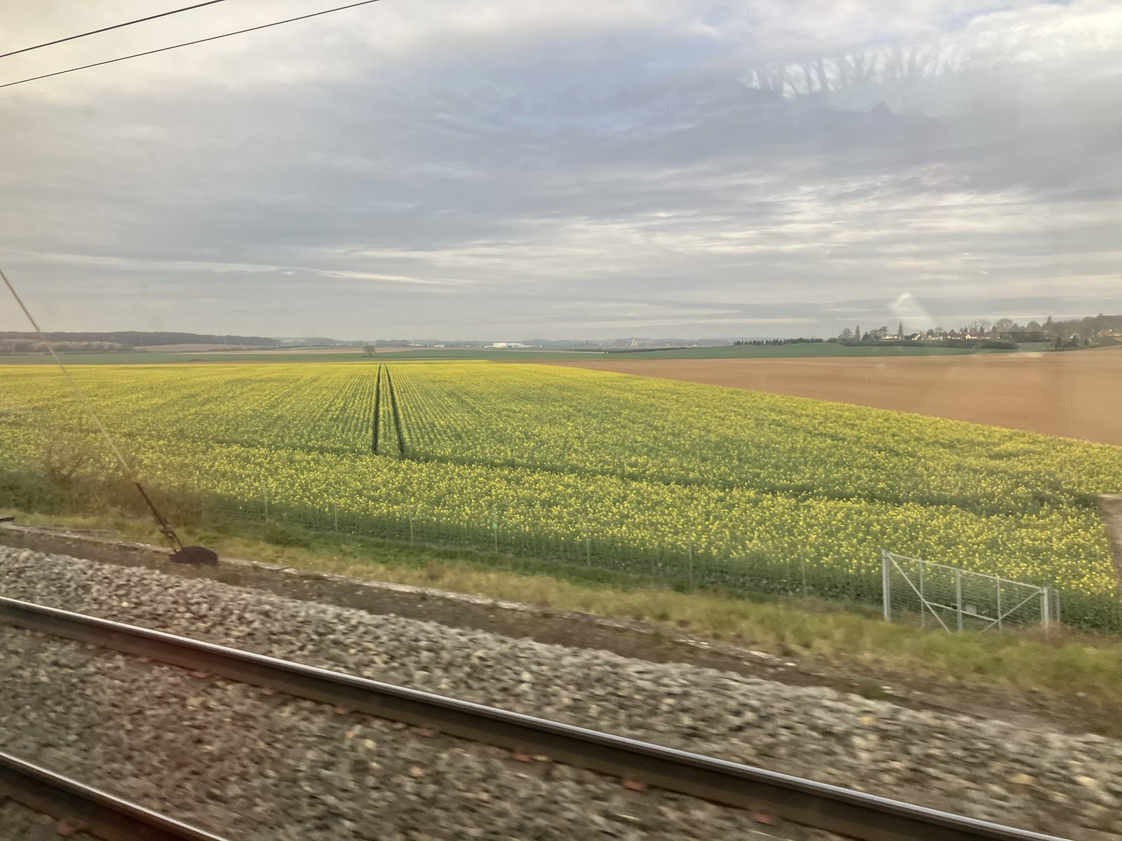 TGVの車窓を流れるフランスの菜の花畑と線路