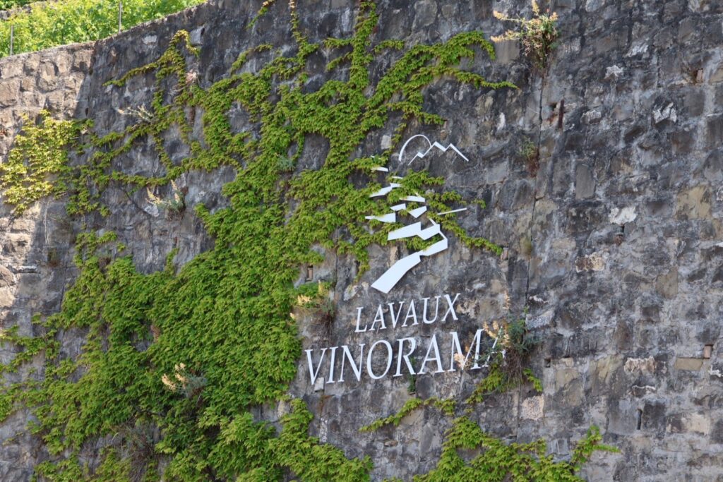 石垣の壁に掲げられたラヴォー・ヴィノラマのロゴ看板。蔦が絡む
